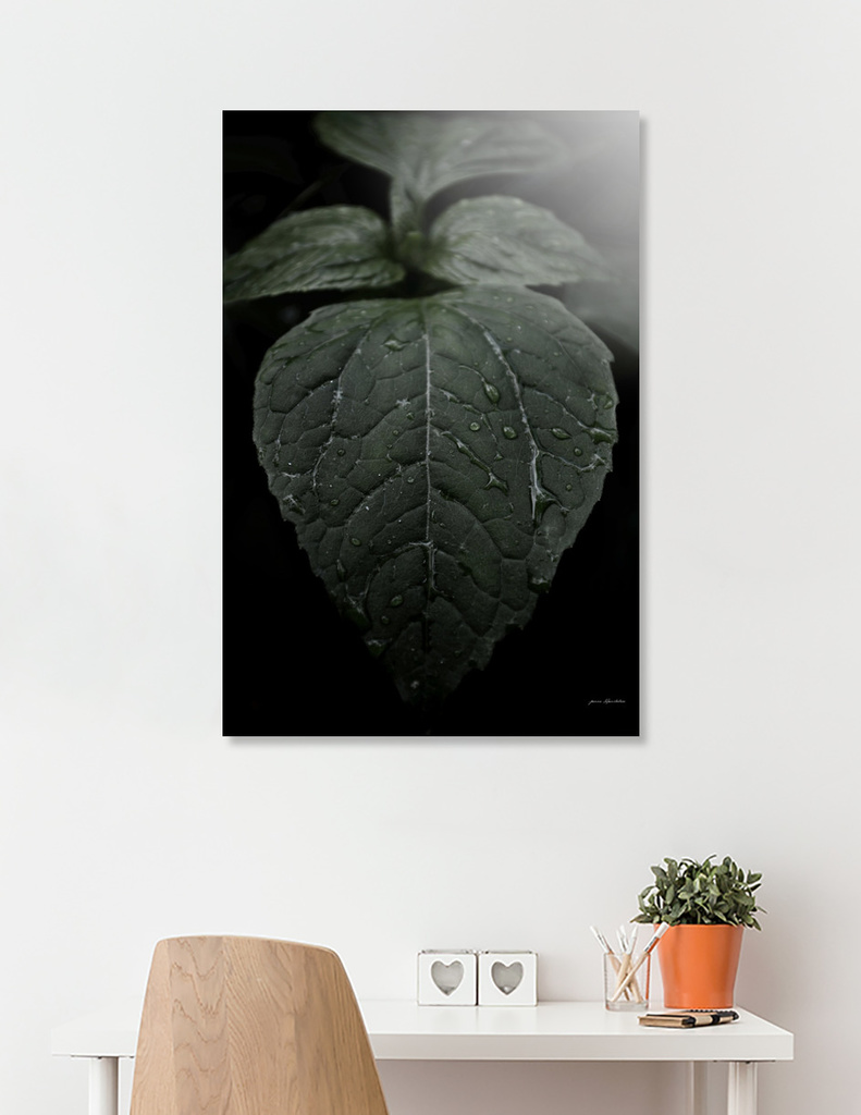 Black decor vs botanical art - Botanical Still Life Photography Drops On Leaf Art print by ARTbyJWP | Curioos