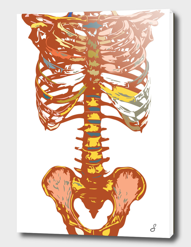 Red Golden Rib Cage