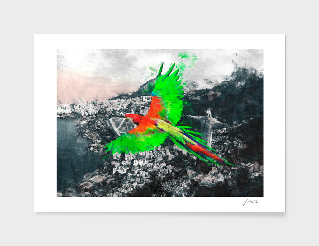 Parrot over the Rio de Janeiro sketch