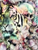 «Interpretation of a dream Tiger» Art Print by RIZA 